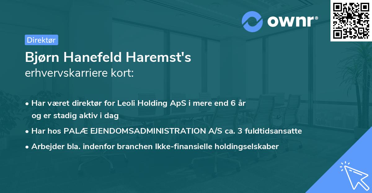 Bjørn Hanefeld Haremst's erhvervskarriere kort
