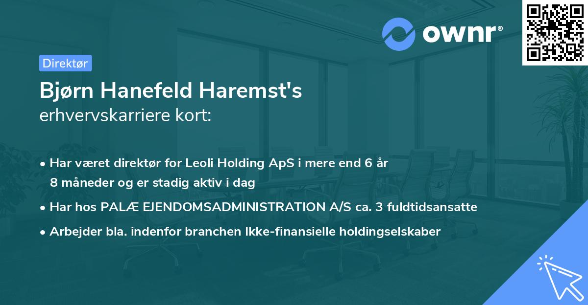 Bjørn Hanefeld Haremst's erhvervskarriere kort