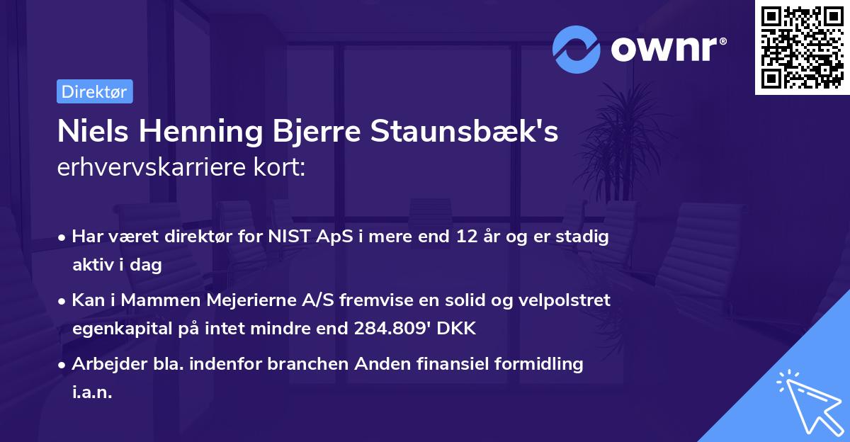 Niels Henning Bjerre Staunsbæk's erhvervskarriere kort