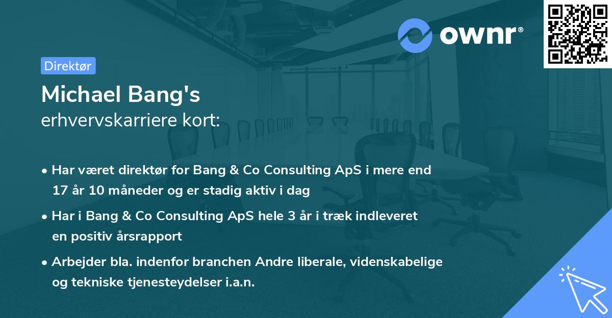 Michael Bang's erhvervskarriere kort