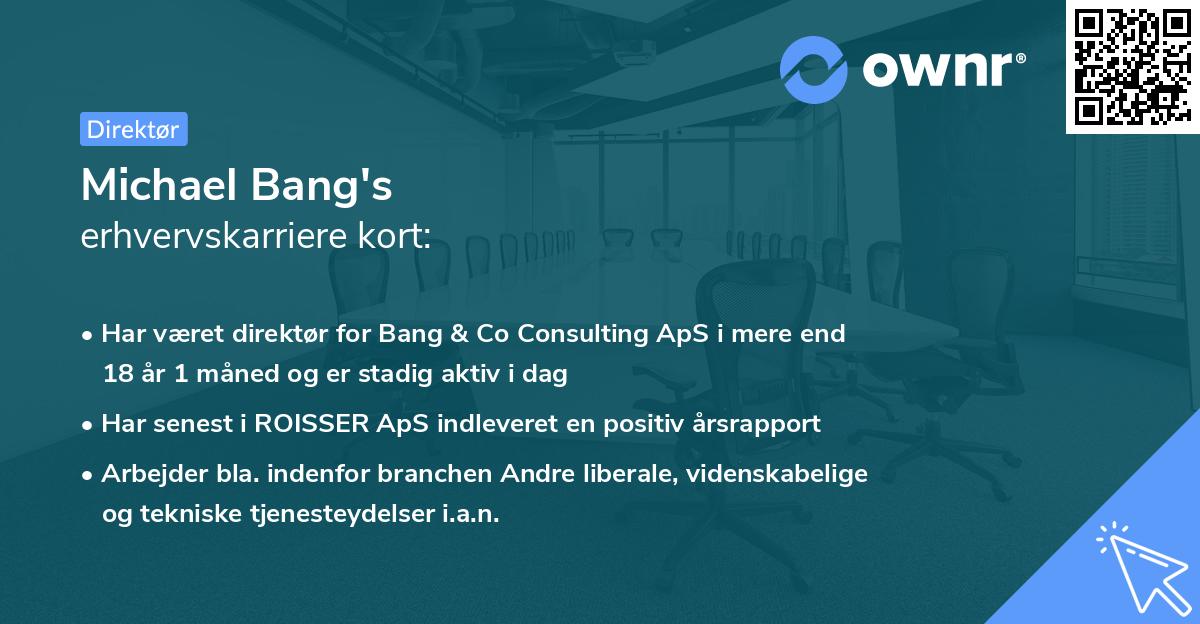 Michael Bang's erhvervskarriere kort