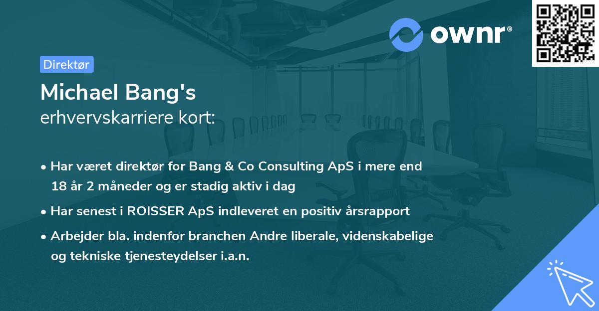 Michael Bang's erhvervskarriere kort