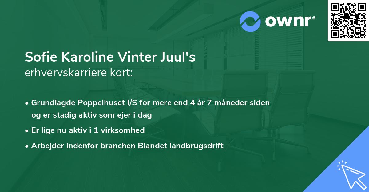 Sofie Karoline Vinter Juul's erhvervskarriere kort