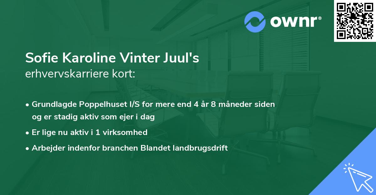 Sofie Karoline Vinter Juul's erhvervskarriere kort