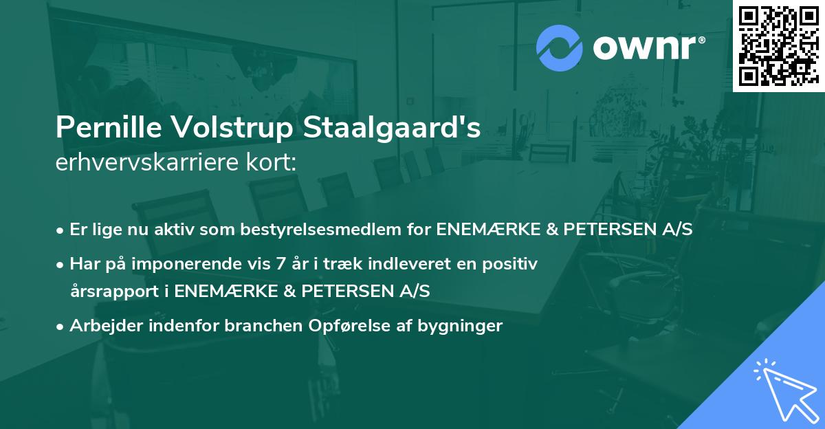 Pernille Volstrup Staalgaard's erhvervskarriere kort