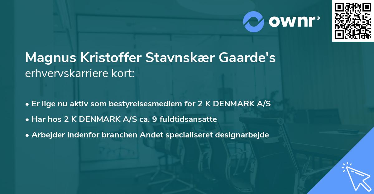Magnus Kristoffer Stavnskær Gaarde's erhvervskarriere kort