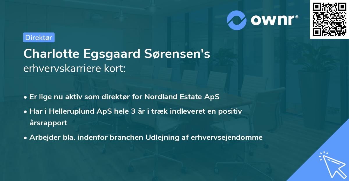Charlotte Egsgaard Sørensen's erhvervskarriere kort