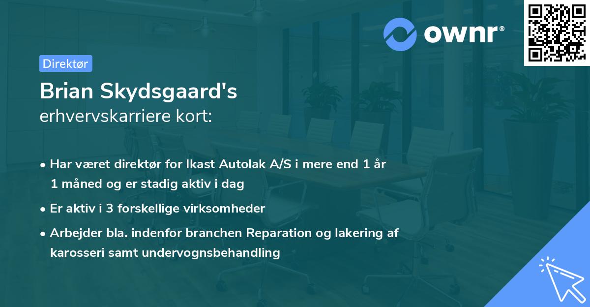 Brian Skydsgaard's erhvervskarriere kort