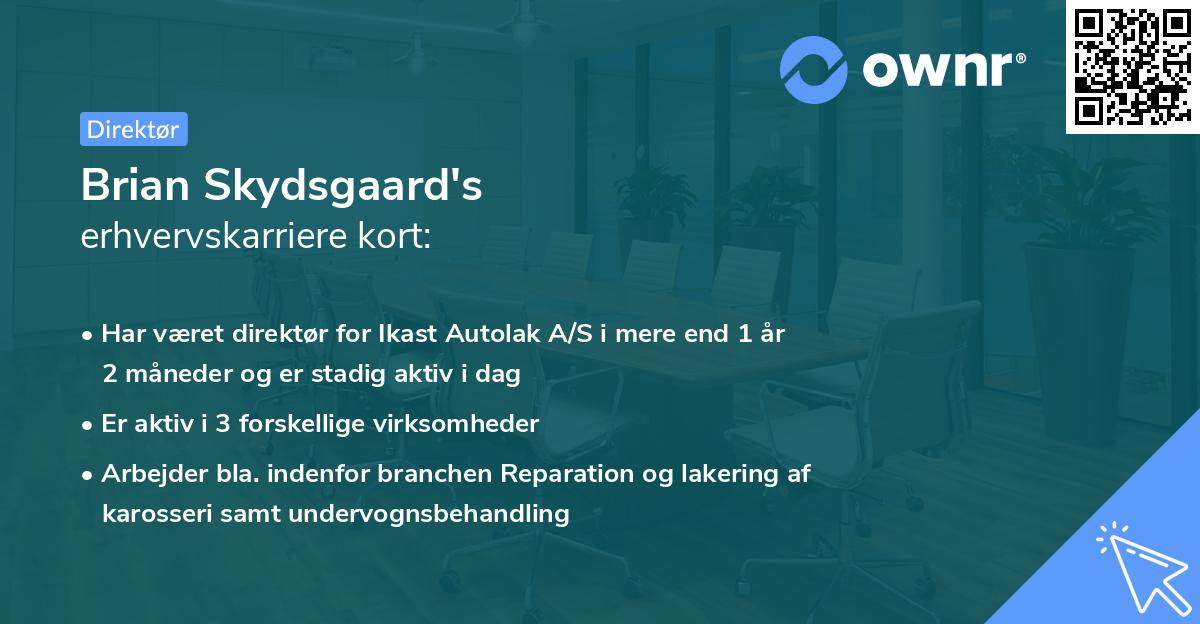 Brian Skydsgaard's erhvervskarriere kort