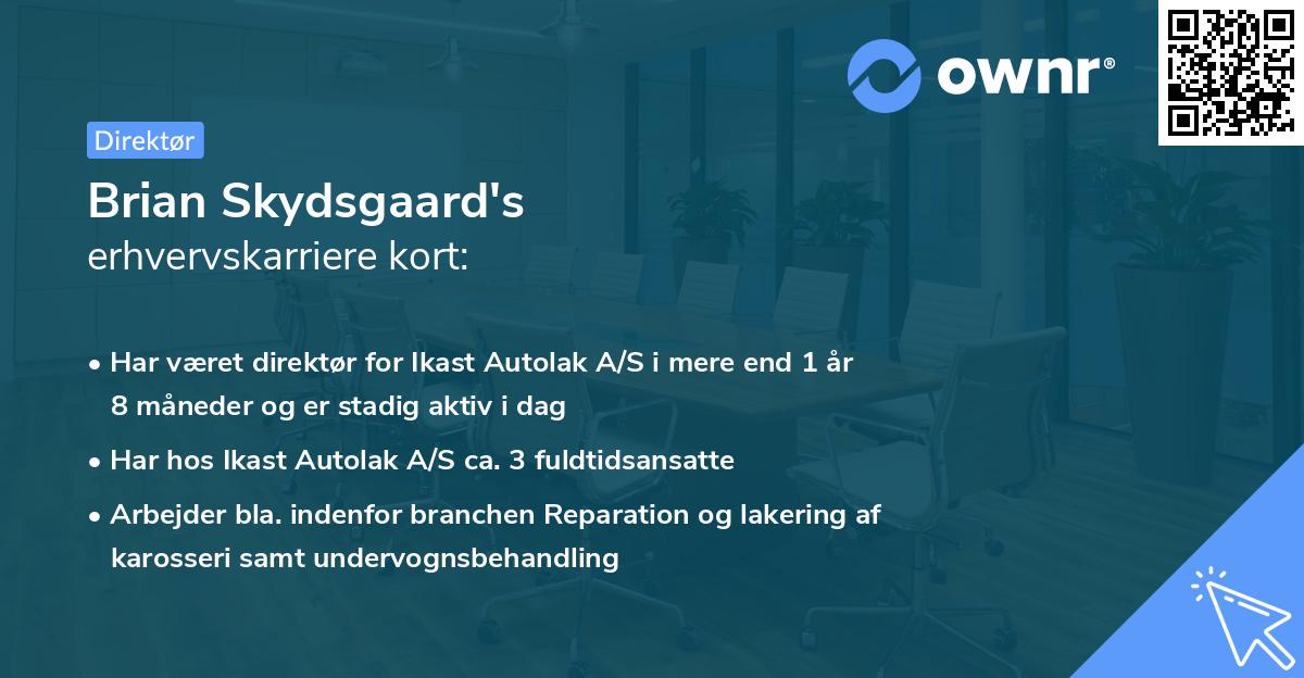 Brian Skydsgaard's erhvervskarriere kort