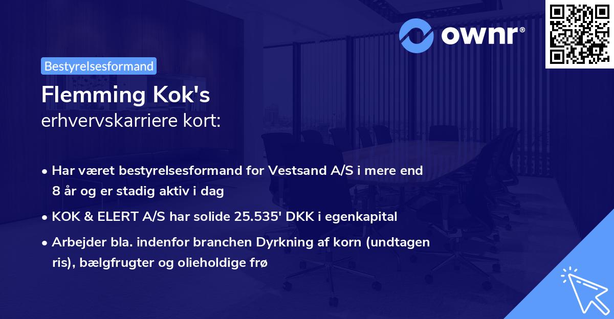 Flemming Kok's erhvervskarriere kort