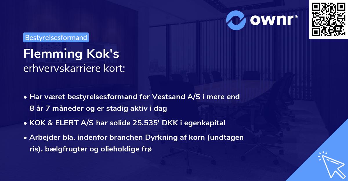 Flemming Kok's erhvervskarriere kort