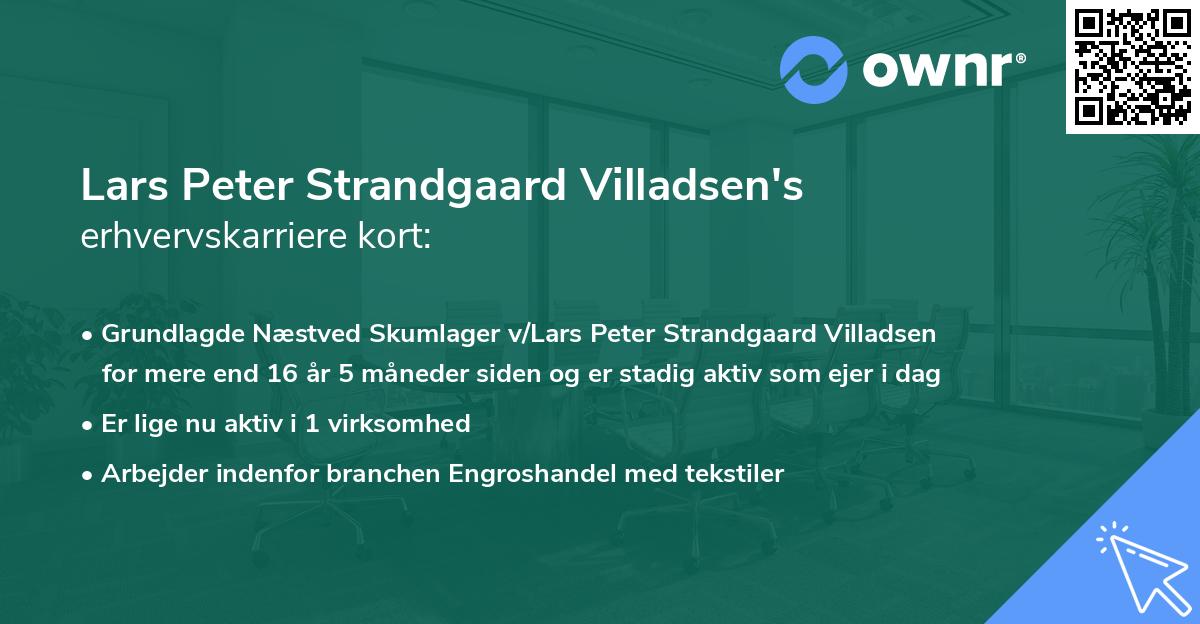 Lars Peter Strandgaard Villadsen's erhvervskarriere kort