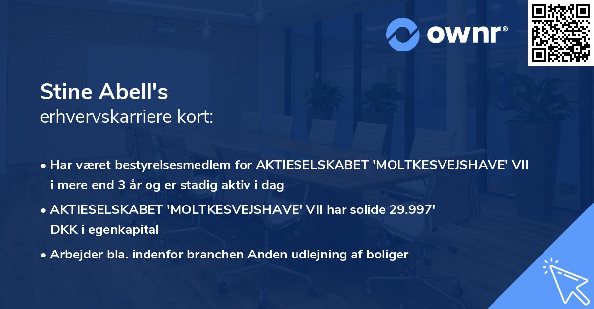 Stine Abell's erhvervskarriere kort