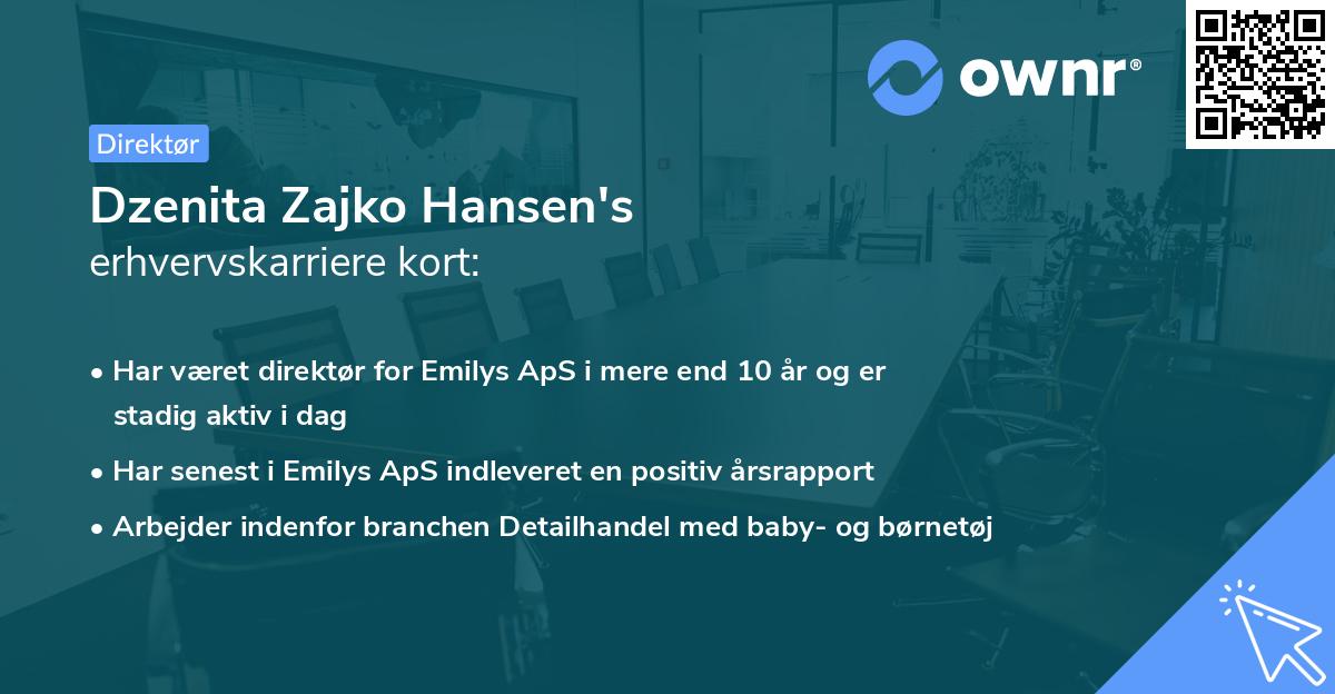 Dzenita Zajko Hansen's erhvervskarriere kort