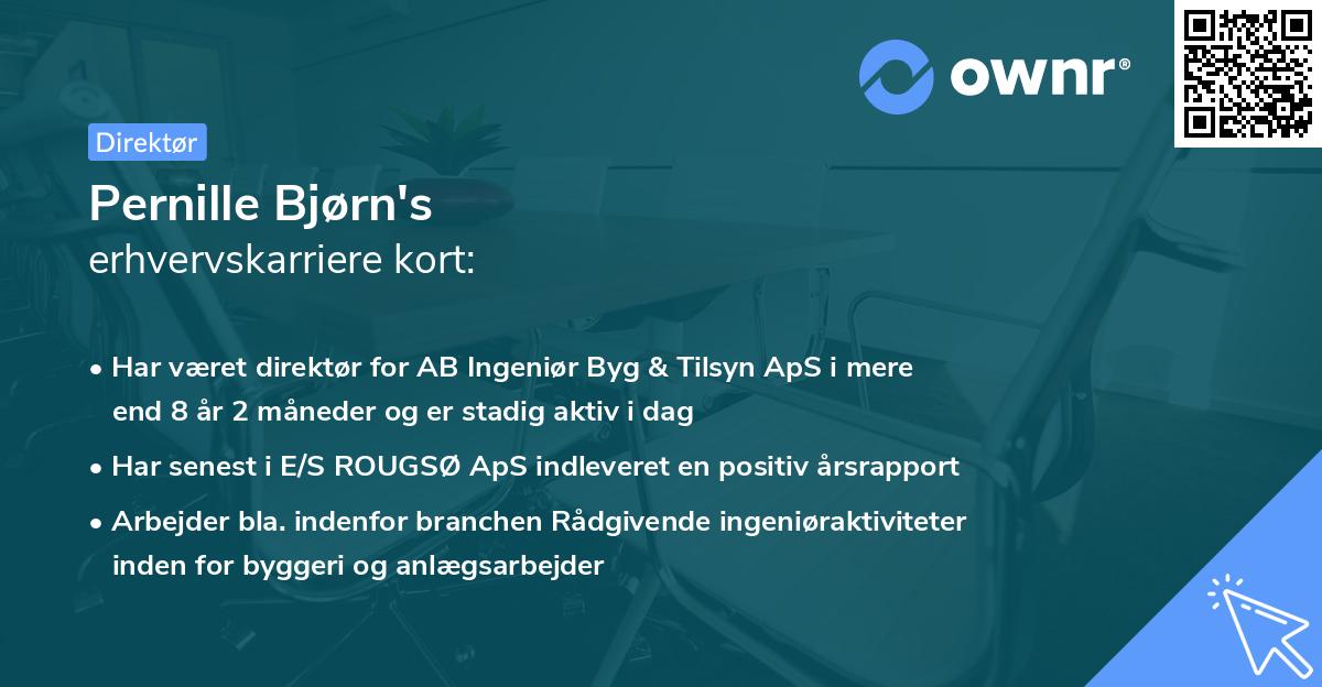 Pernille Bjørn's erhvervskarriere kort