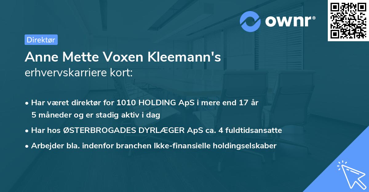 Anne Mette Voxen Kleemann's erhvervskarriere kort