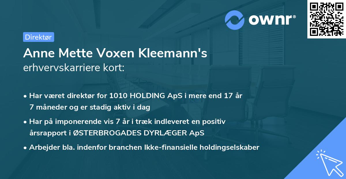 Anne Mette Voxen Kleemann's erhvervskarriere kort
