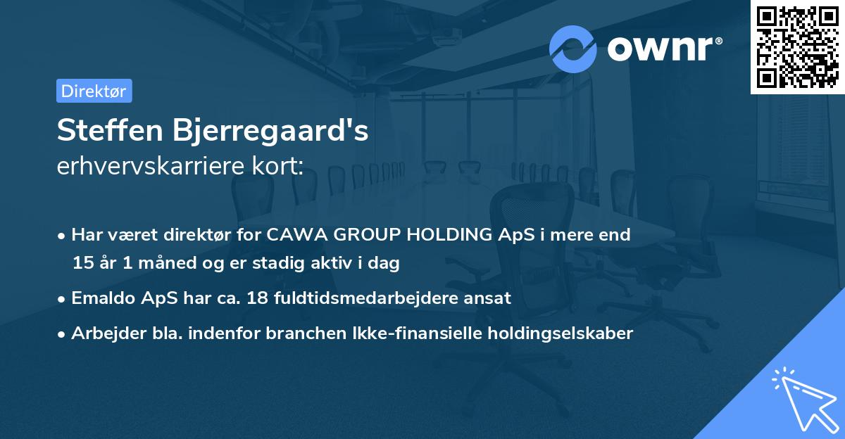 Steffen Bjerregaard's erhvervskarriere kort