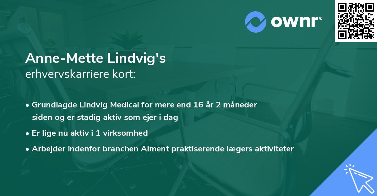 Anne-Mette Lindvig's erhvervskarriere kort