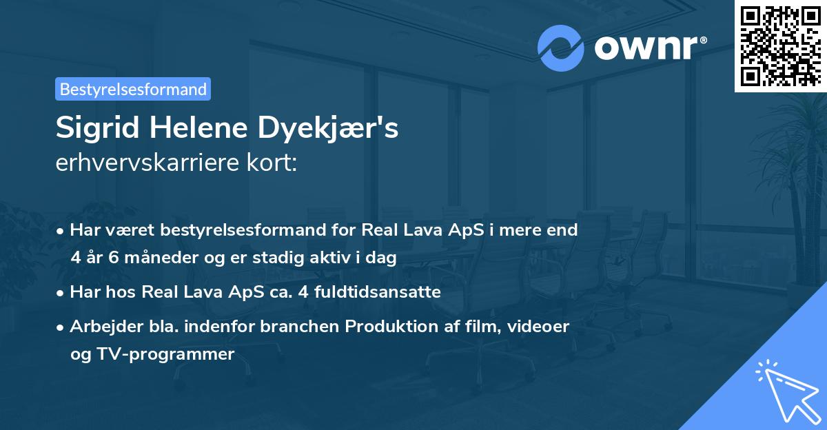 Sigrid Helene Dyekjær's erhvervskarriere kort