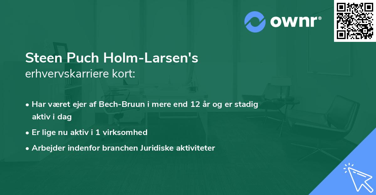 Steen Puch Holm-Larsen's erhvervskarriere kort