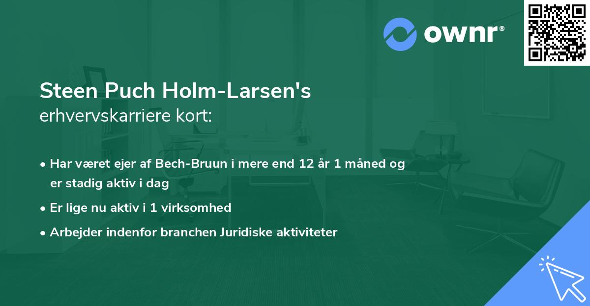Steen Puch Holm-Larsen's erhvervskarriere kort
