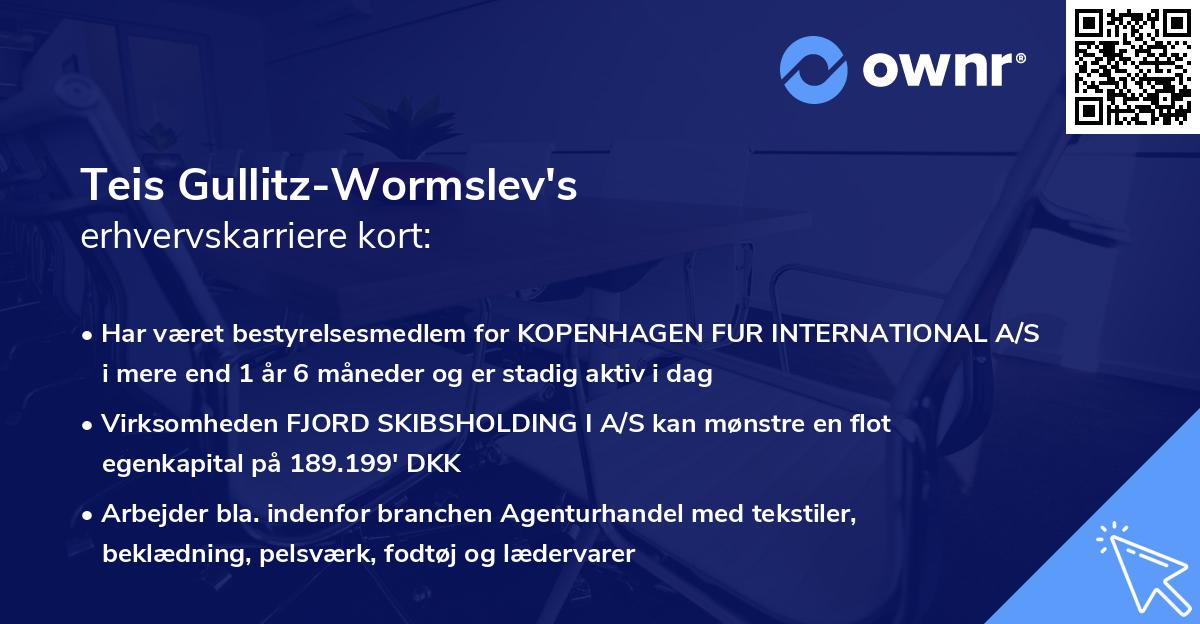 Teis Gullitz-Wormslev's erhvervskarriere kort
