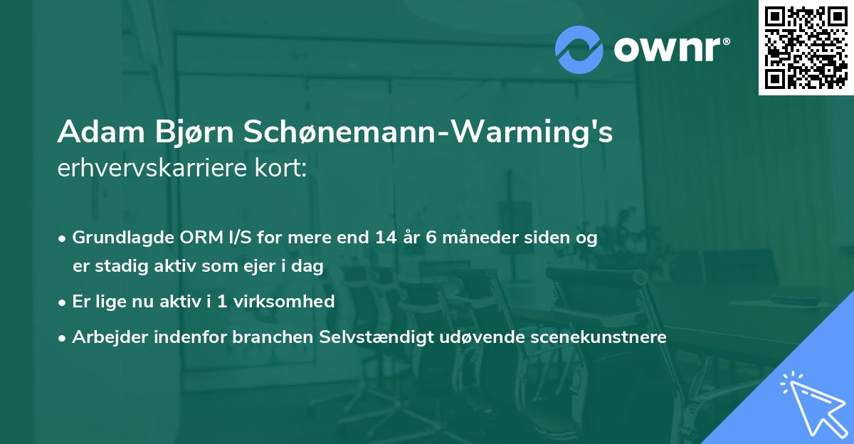 Adam Bjørn Schønemann-Warming's erhvervskarriere kort