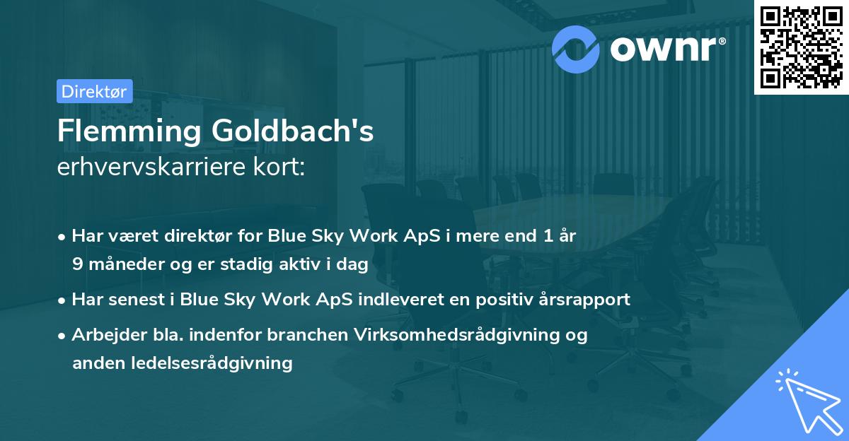 Flemming Goldbach's erhvervskarriere kort