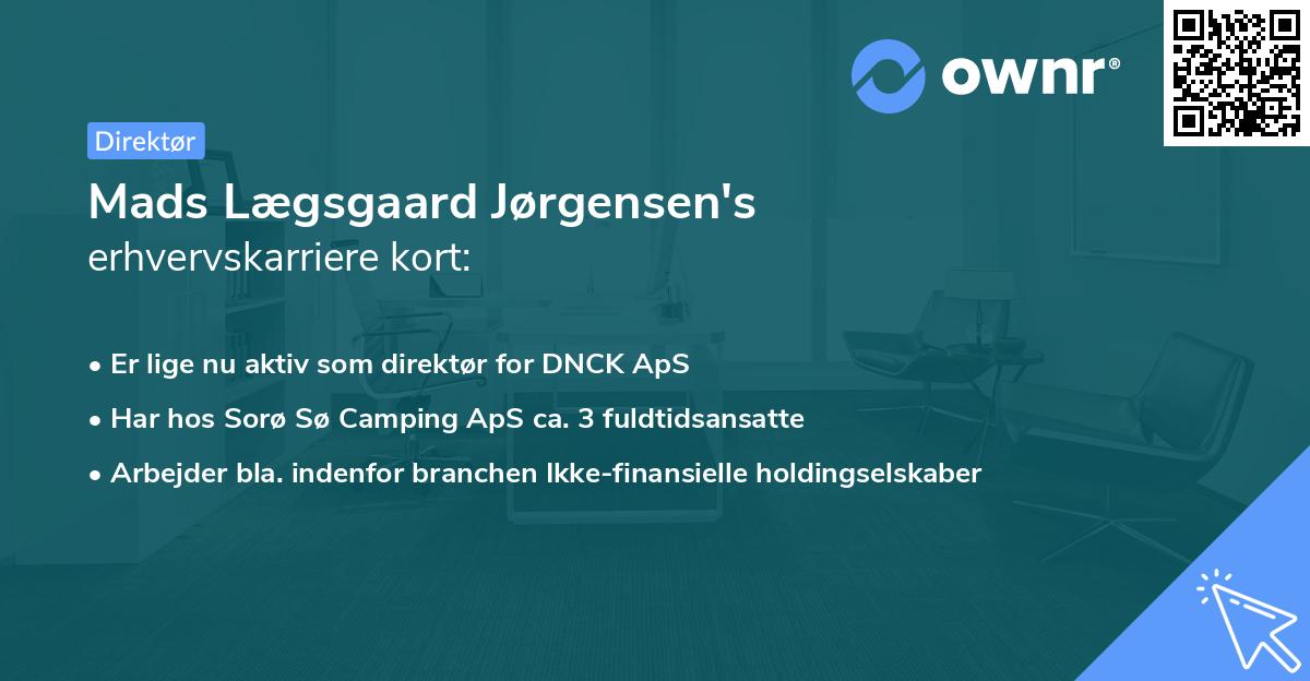 Mads Lægsgaard Jørgensen's erhvervskarriere kort