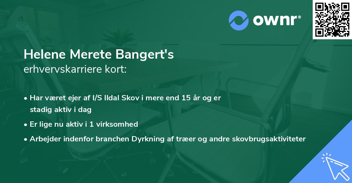 Helene Merete Bangert's erhvervskarriere kort