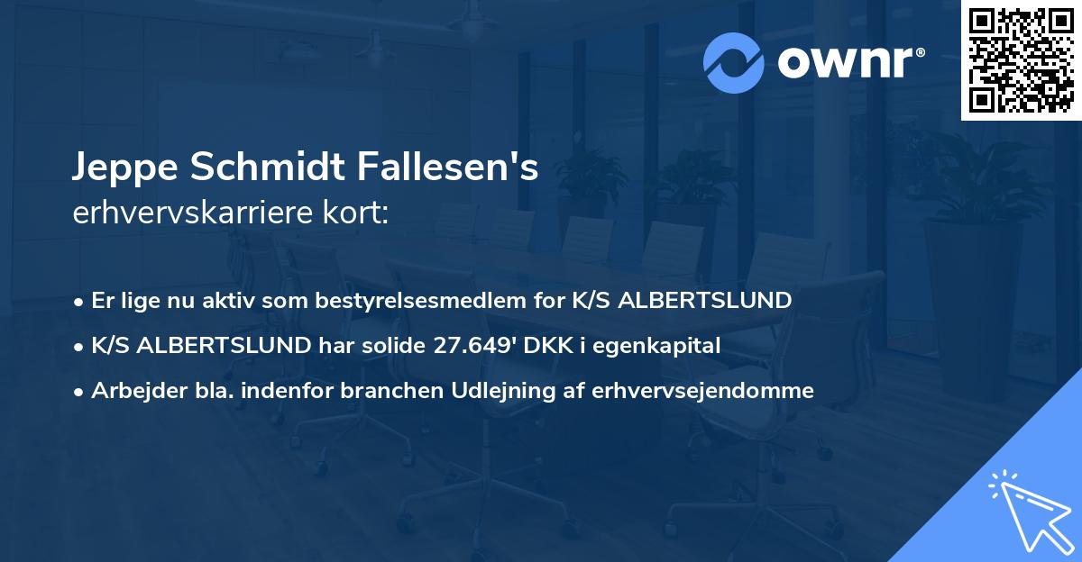 Jeppe Schmidt Fallesen's erhvervskarriere kort