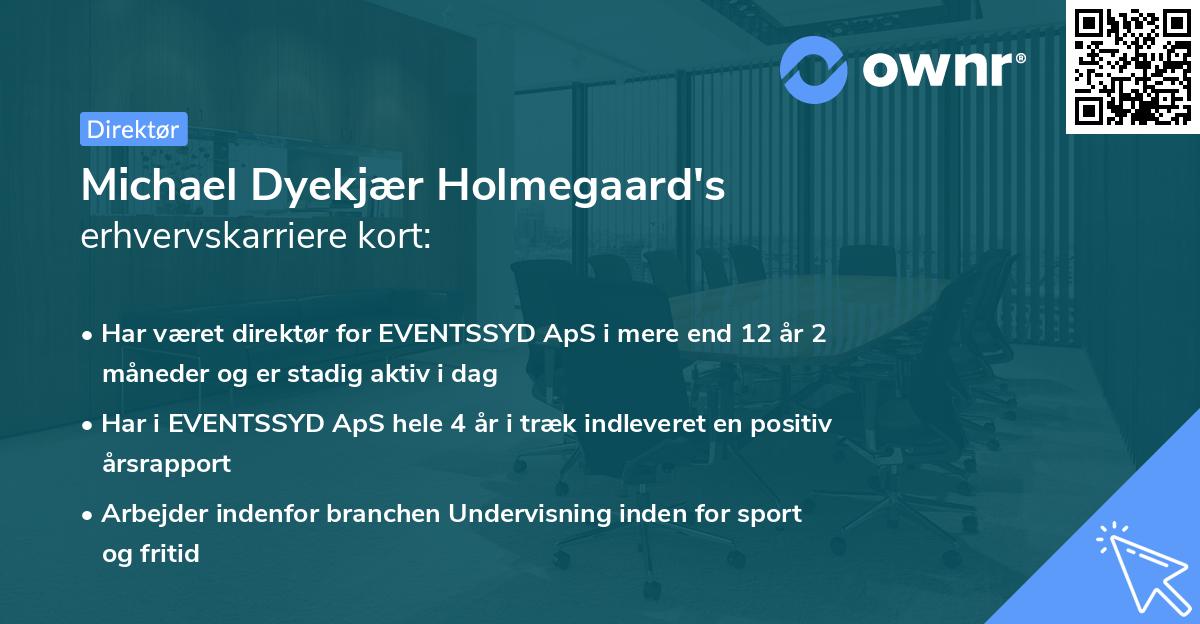 Michael Dyekjær Holmegaard's erhvervskarriere kort