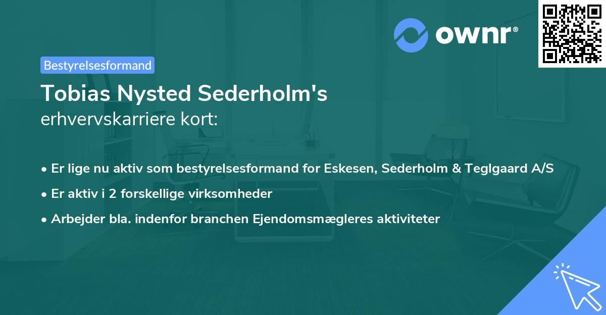 Tobias Nysted Sederholm's erhvervskarriere kort