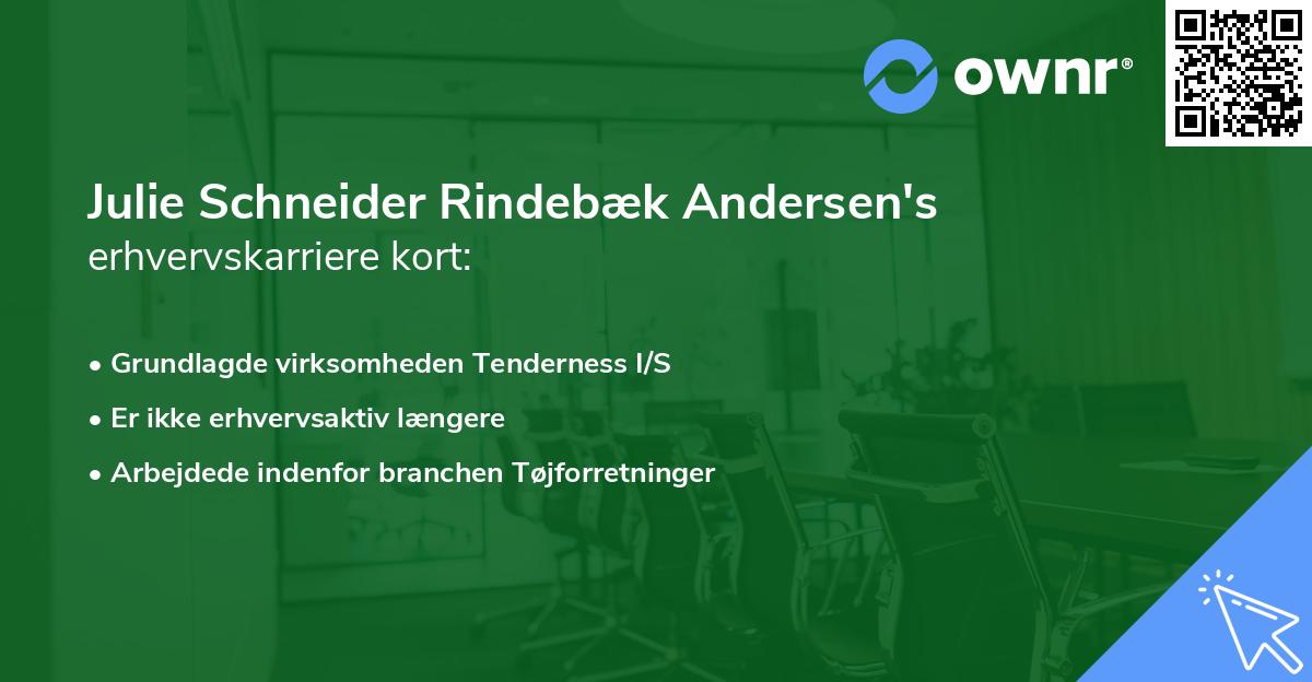 Julie Schneider Rindebæk Andersen's erhvervskarriere kort