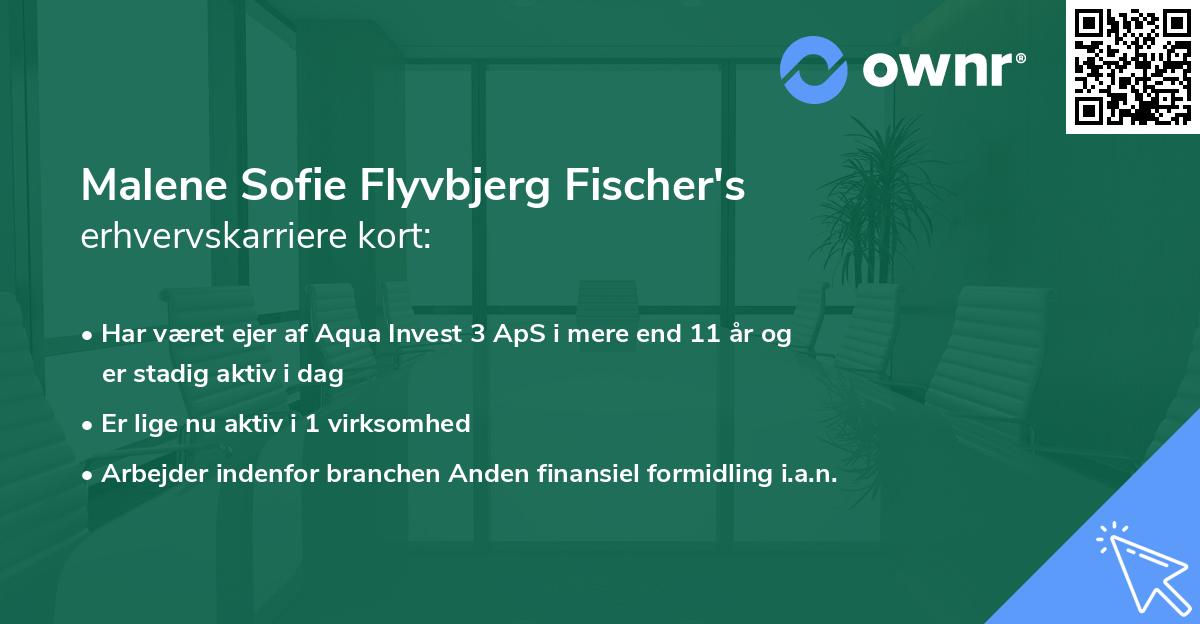 Malene Sofie Flyvbjerg Fischer's erhvervskarriere kort