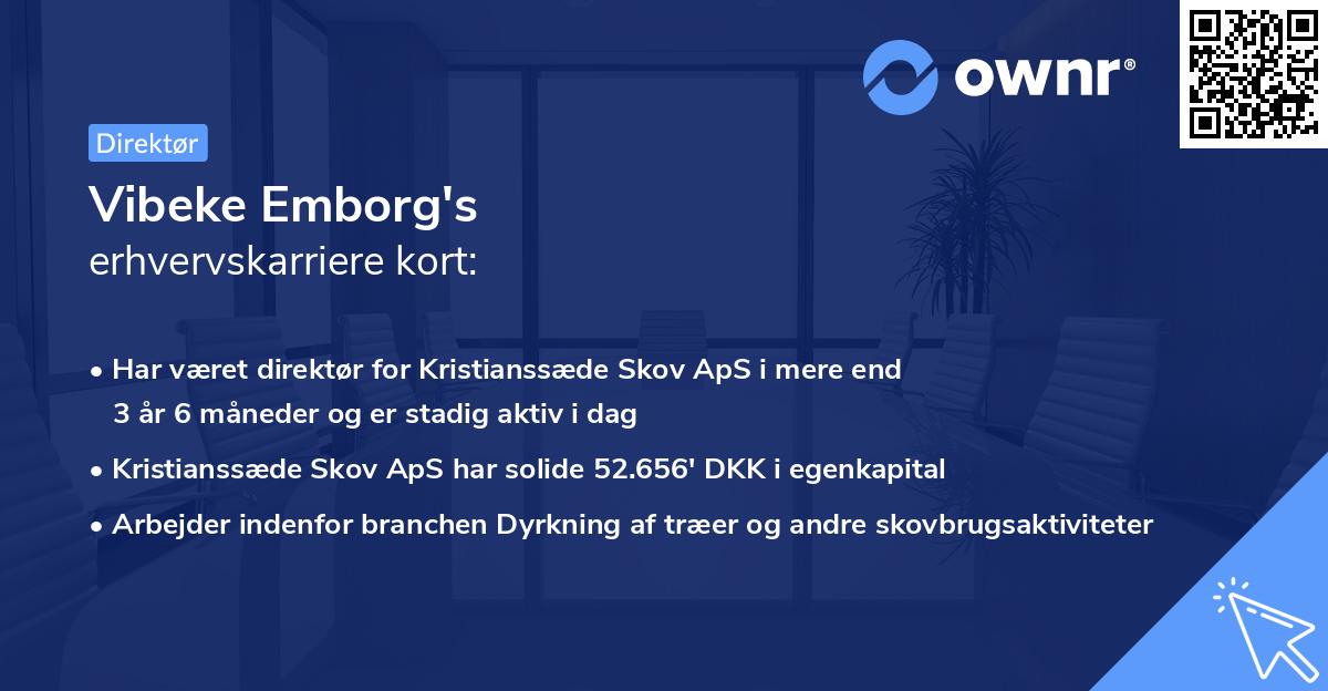 Vibeke Emborg's erhvervskarriere kort