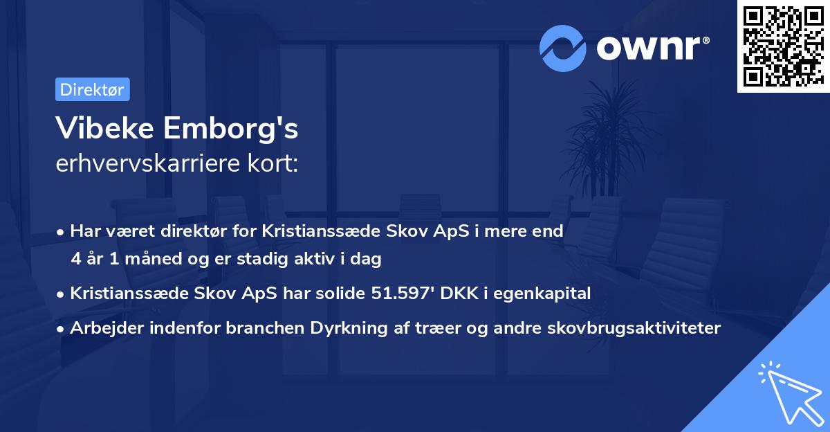 Vibeke Emborg's erhvervskarriere kort