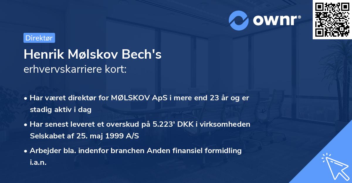 Henrik Mølskov Bech's erhvervskarriere kort