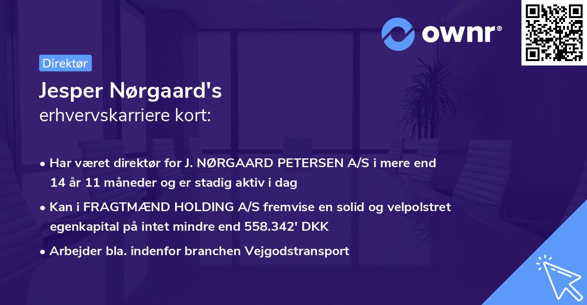 Jesper Nørgaard's erhvervskarriere kort
