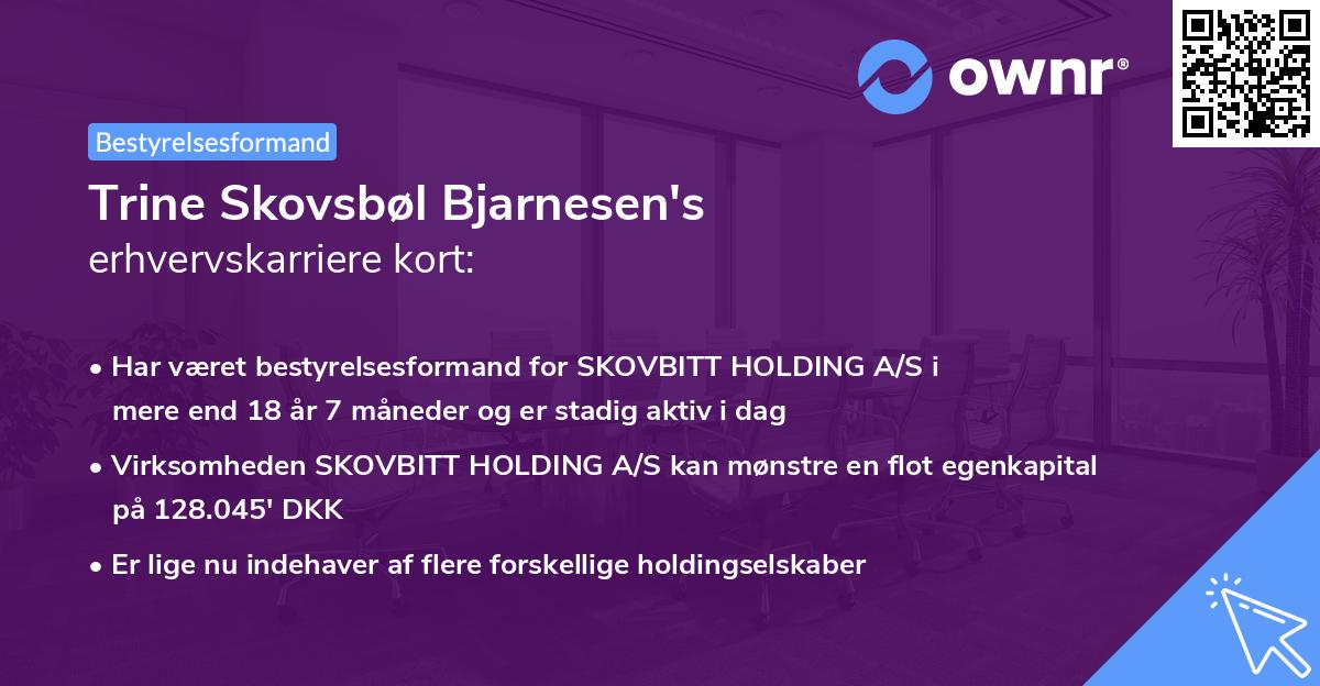 Trine Skovsbøl Bjarnesen's erhvervskarriere kort