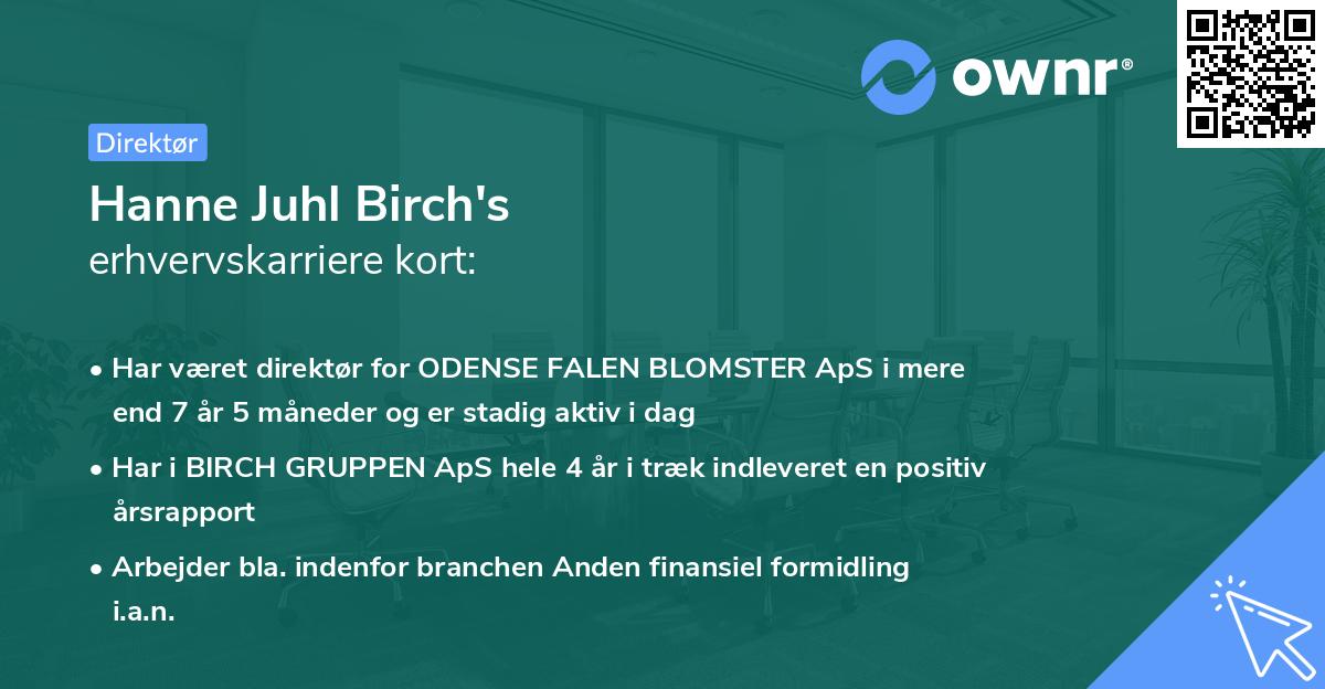 Hanne Juhl Birch's erhvervskarriere kort