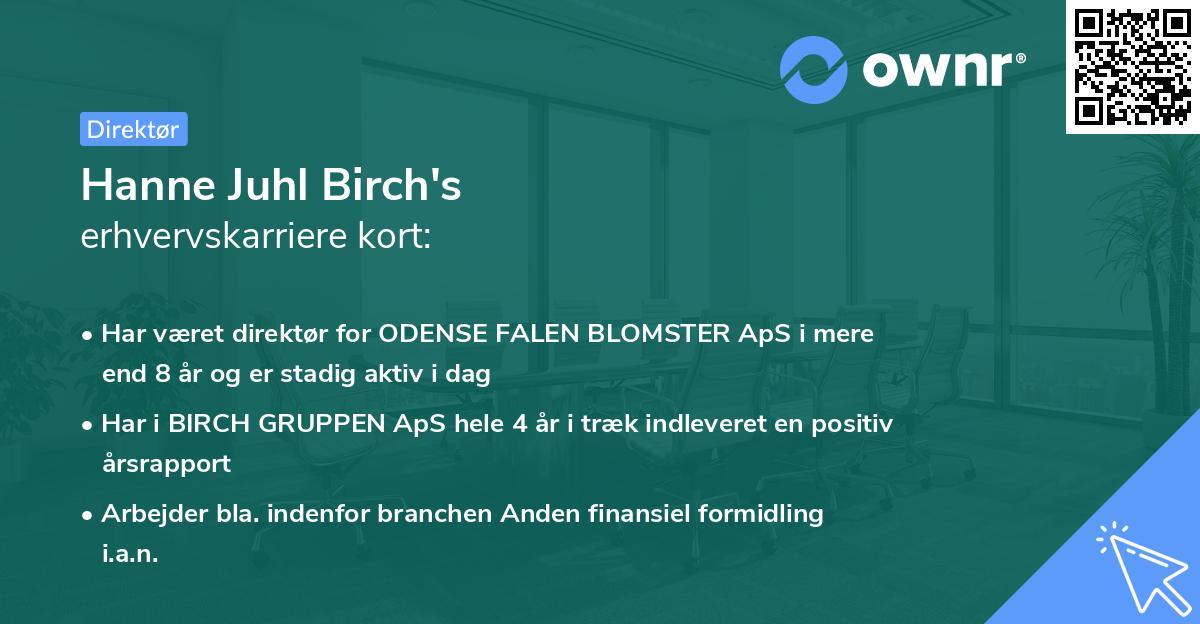 Hanne Juhl Birch's erhvervskarriere kort