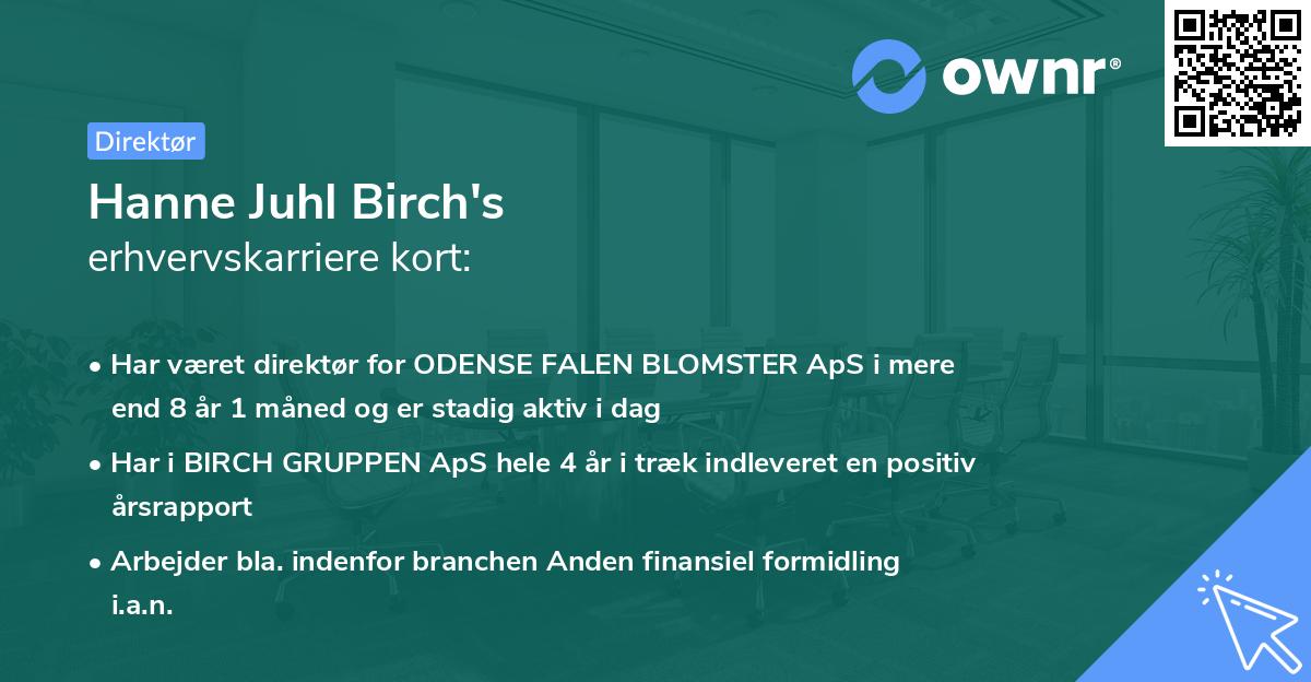 Hanne Juhl Birch's erhvervskarriere kort
