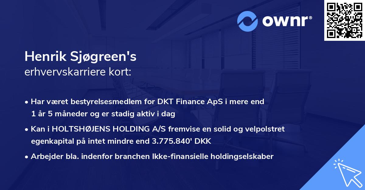 Henrik Sjøgreen's erhvervskarriere kort