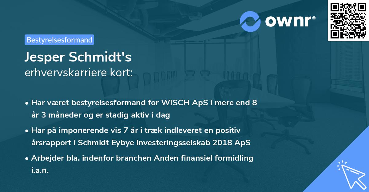 Jesper Schmidt's erhvervskarriere kort