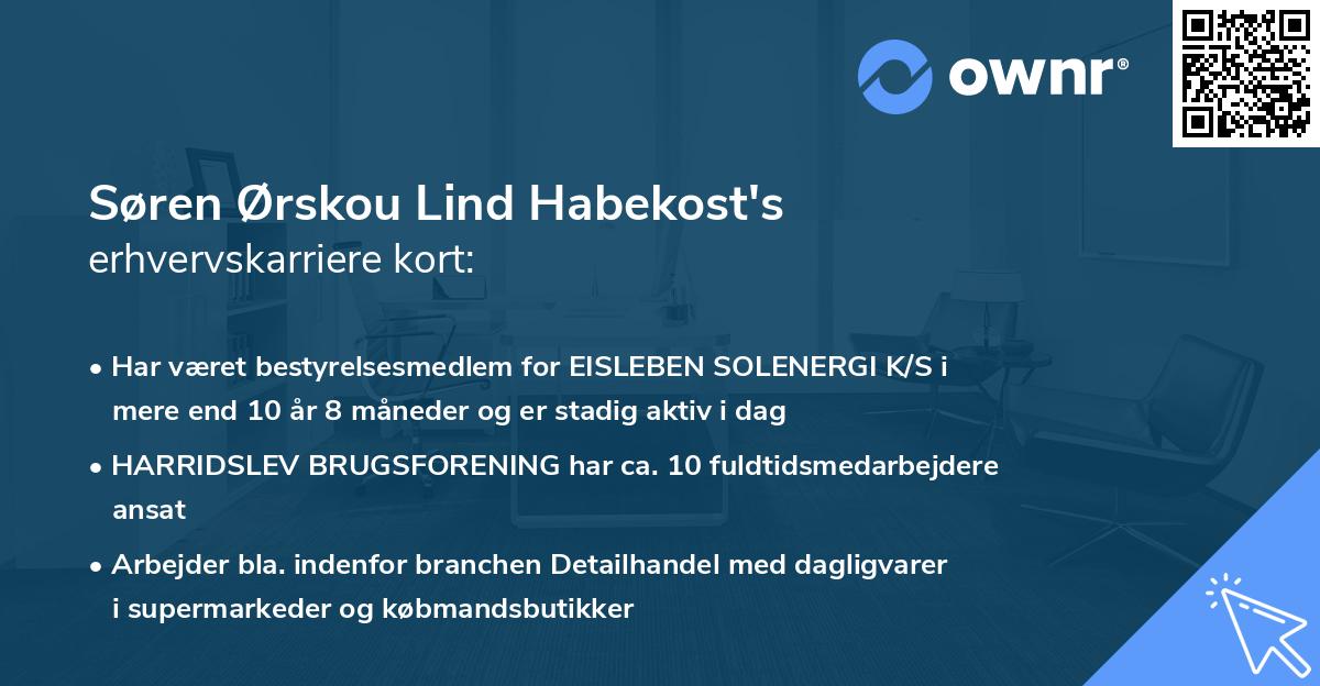 Søren Ørskou Lind Habekost's erhvervskarriere kort