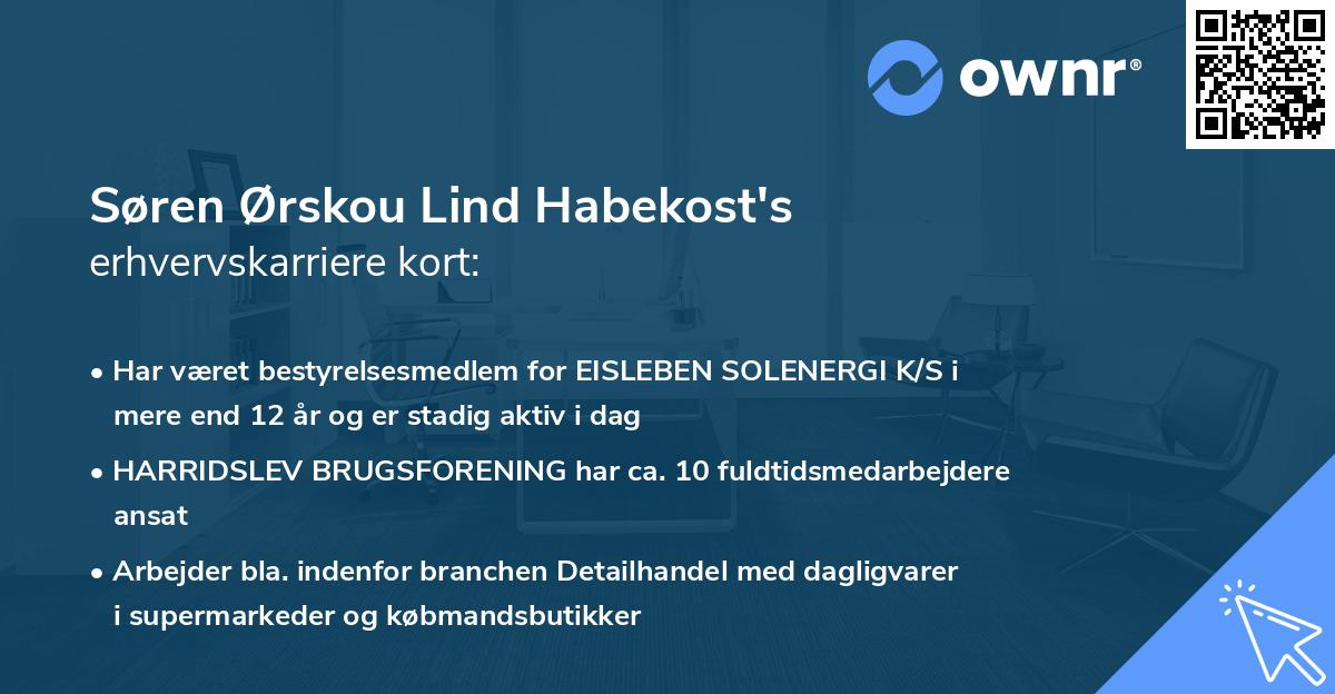 Søren Ørskou Lind Habekost's erhvervskarriere kort