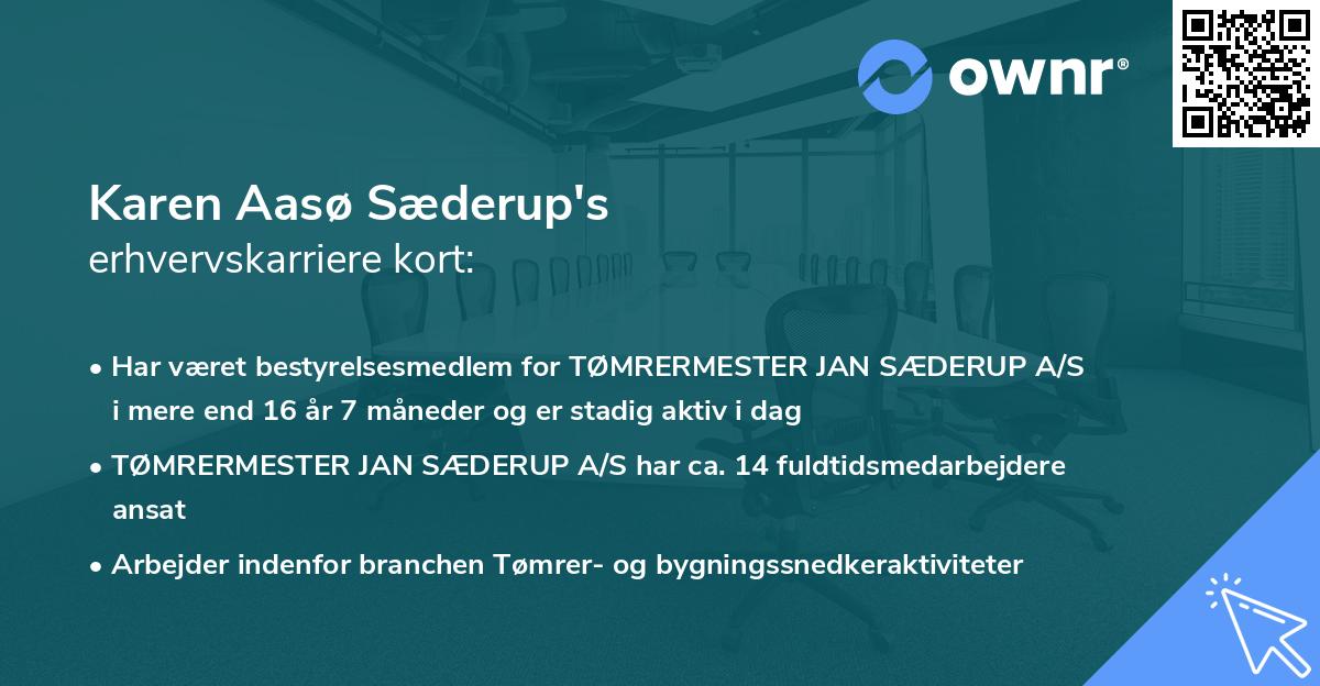 Karen Aasø Sæderup's erhvervskarriere kort